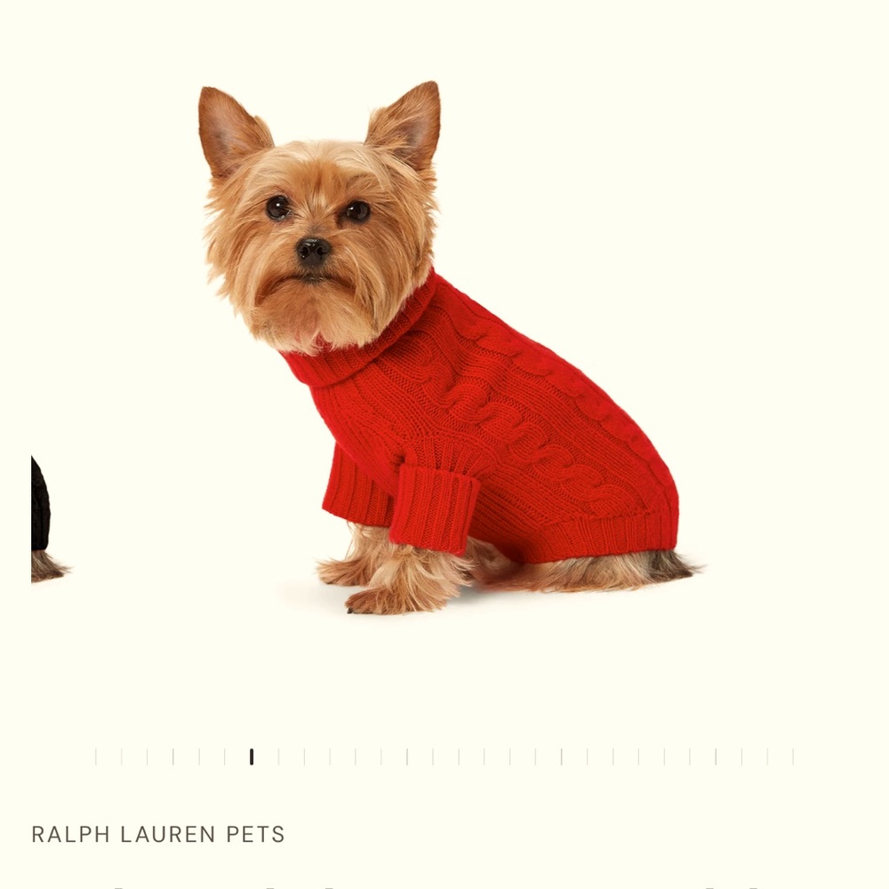 Red Cashmere Sweater